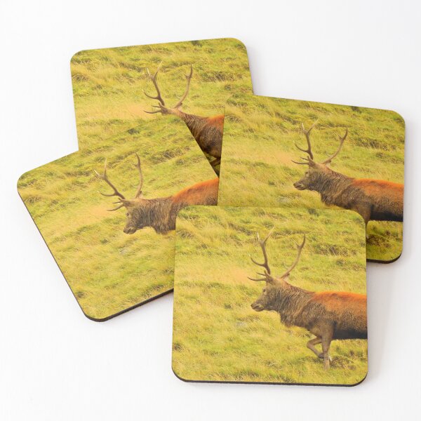 Item preview, Lake District: Red Deer Stag designed and sold by Rob Parsons (Just a Walker with a Camera).
