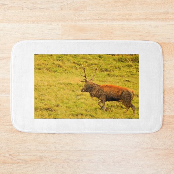 Item preview, Lake District: Red Deer Stag designed and sold by Rob Parsons (Just a Walker with a Camera).