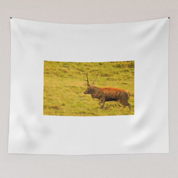 Item preview, Lake District: Red Deer Stag designed and sold by Rob Parsons (Just a Walker with a Camera).