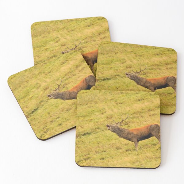 Item preview, Lake District: Red Deer Stag designed and sold by Rob Parsons (Just a Walker with a Camera).