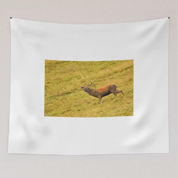 Item preview, Lake District: Red Deer Stag designed and sold by Rob Parsons (Just a Walker with a Camera).