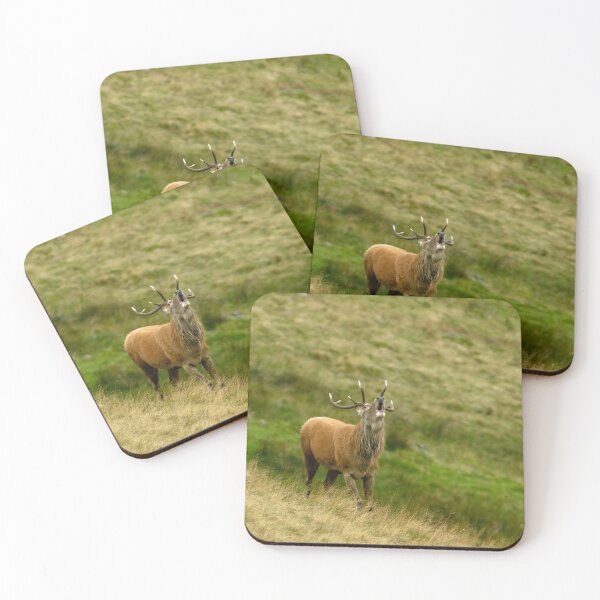 Item preview, Lake District: Red Deer Stag designed and sold by Rob Parsons (Just a Walker with a Camera).
