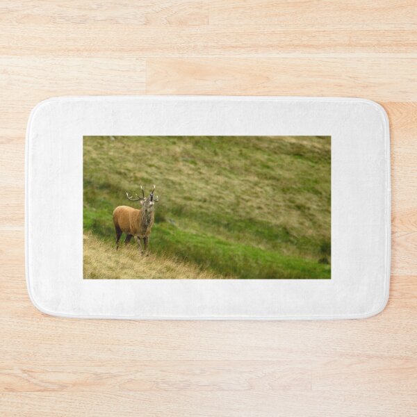 Item preview, Lake District: Red Deer Stag designed and sold by Rob Parsons (Just a Walker with a Camera).