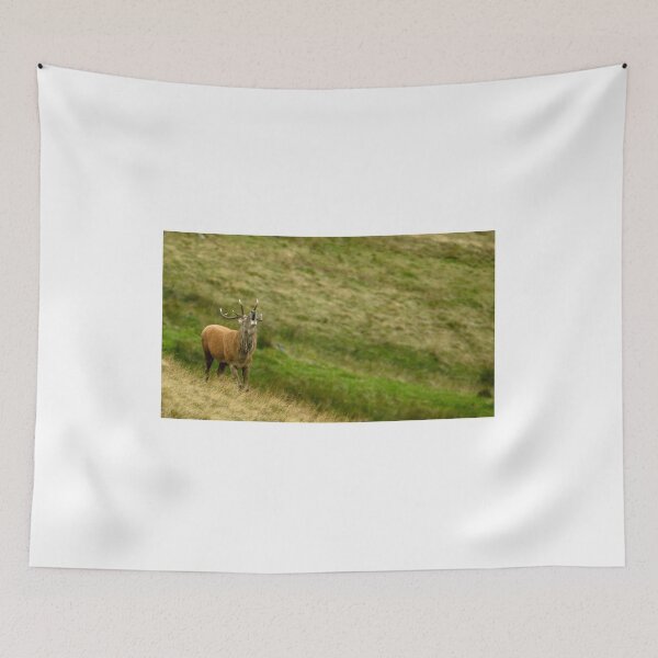 Item preview, Lake District: Red Deer Stag designed and sold by Rob Parsons (Just a Walker with a Camera).