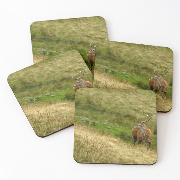 Item preview, Lake District: Red Deer Stag designed and sold by Rob Parsons (Just a Walker with a Camera).