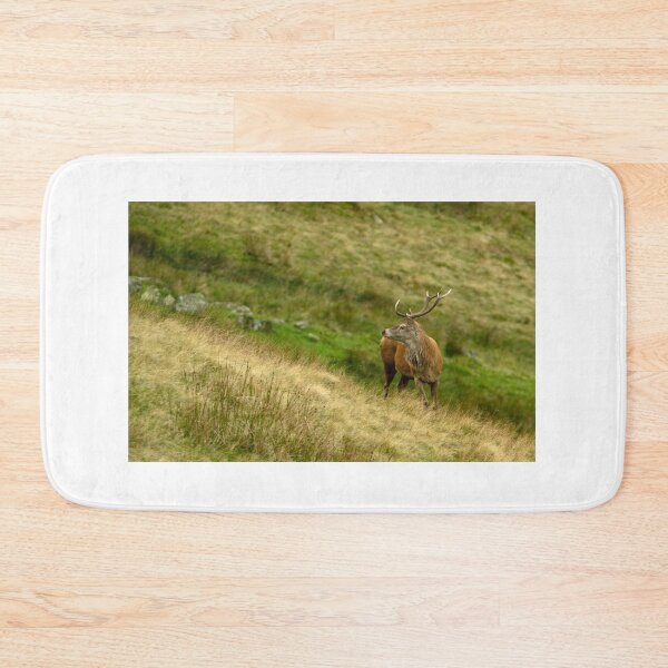 Item preview, Lake District: Red Deer Stag designed and sold by Rob Parsons (Just a Walker with a Camera).