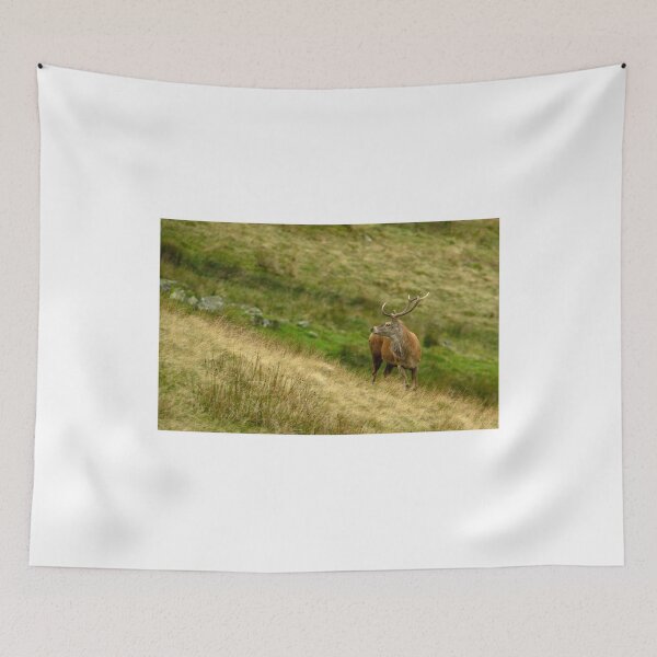 Item preview, Lake District: Red Deer Stag designed and sold by Rob Parsons (Just a Walker with a Camera).