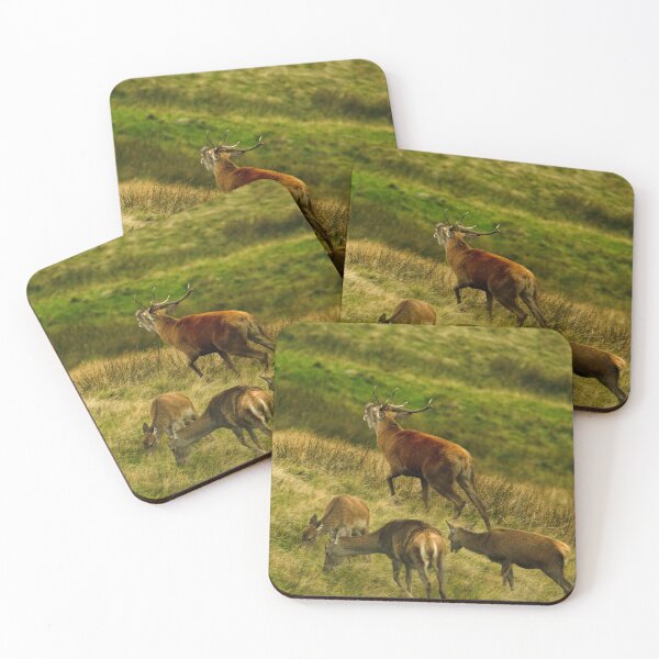Item preview, Lake District: Red Deer Stag designed and sold by Rob Parsons (Just a Walker with a Camera).