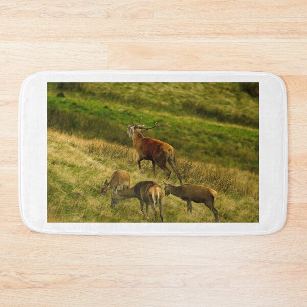 Item preview, Lake District: Red Deer Stag designed and sold by Rob Parsons (Just a Walker with a Camera).