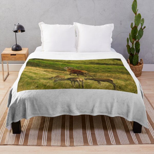 Item preview, Lake District: Red Deer Stag designed and sold by Rob Parsons (Just a Walker with a Camera).
