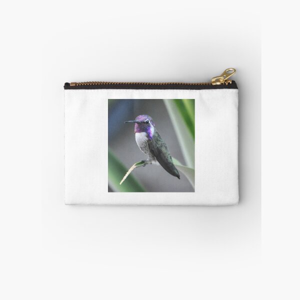 Item preview, PROUD WHITE EARED COSTA'S POSING designed and sold by JAYMILO.
