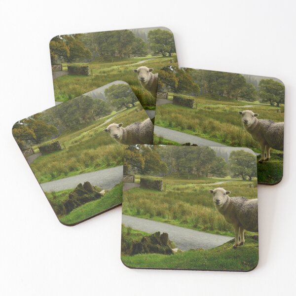 Item preview, Lake District: Herdwick at the River Brathay designed and sold by Rob Parsons (Just a Walker with a Camera).