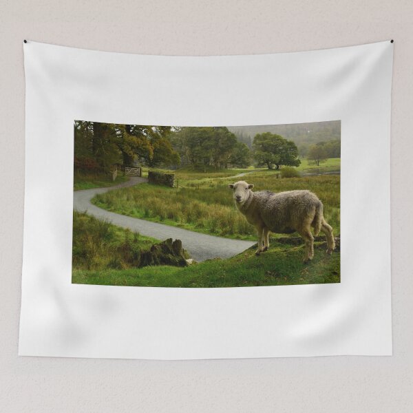 Item preview, Lake District: Herdwick at the River Brathay designed and sold by Rob Parsons (Just a Walker with a Camera).