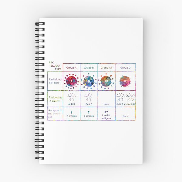 Item preview, ABO Blood Type Chart designed and sold by EvasDreams.