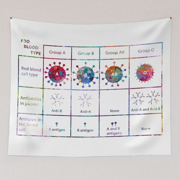Item preview, ABO Blood Type Chart designed and sold by EvasDreams.