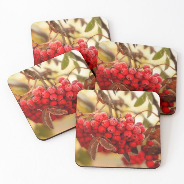 Item preview, Frosty Rowan Berries designed and sold by Rob Parsons (Just a Walker with a Camera).
