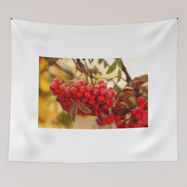 Item preview, Frosty Rowan Berries designed and sold by Rob Parsons (Just a Walker with a Camera).