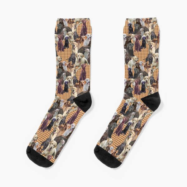 Labrador Retrievers all colors repeating pattern Socks