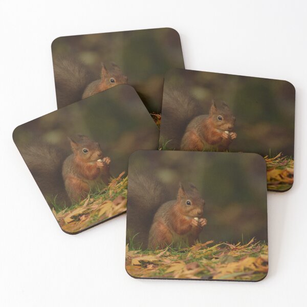 Item preview, Autumnal Red Squirrel designed and sold by Rob Parsons (Just a Walker with a Camera).