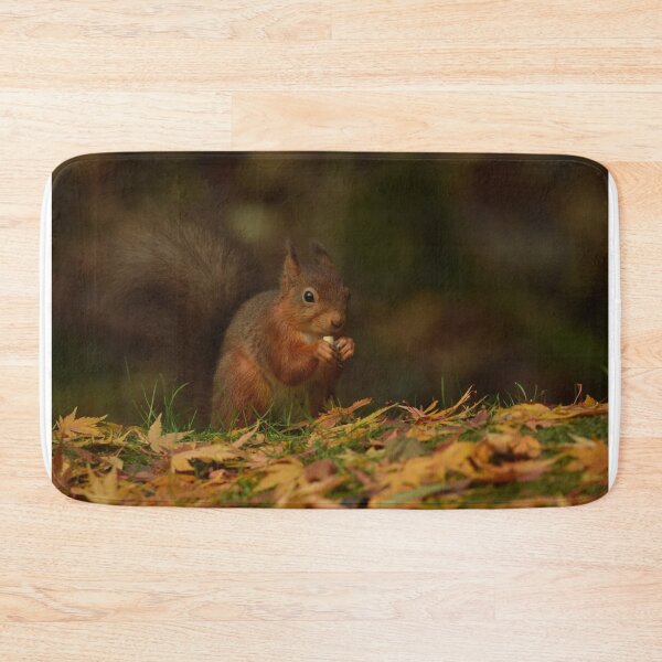 Item preview, Autumnal Red Squirrel designed and sold by Rob Parsons (Just a Walker with a Camera).
