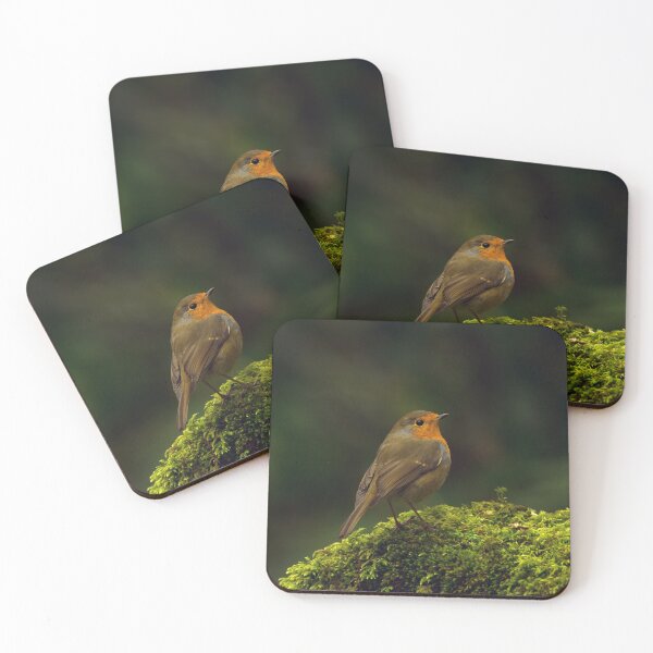 Item preview, Robin on Moss designed and sold by Rob Parsons (Just a Walker with a Camera).