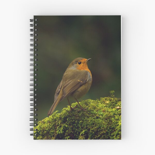 Item preview, Robin on Moss designed and sold by Rob Parsons (Just a Walker with a Camera).