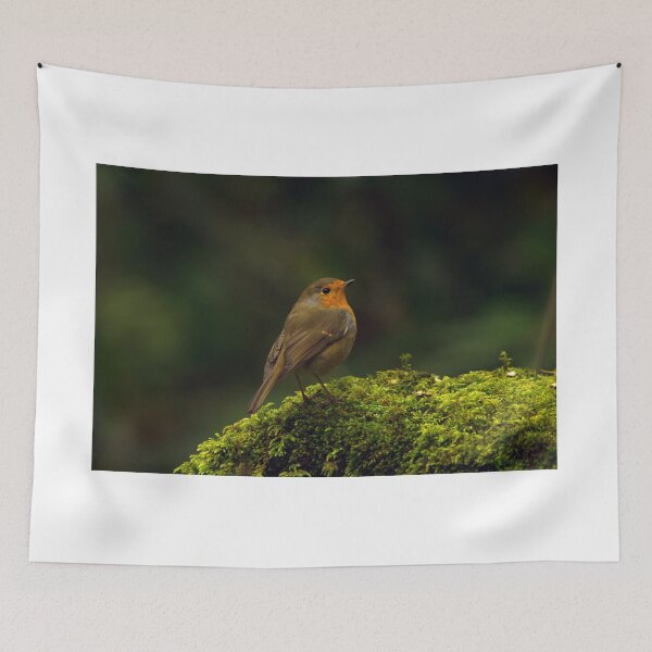 Item preview, Robin on Moss designed and sold by Rob Parsons (Just a Walker with a Camera).