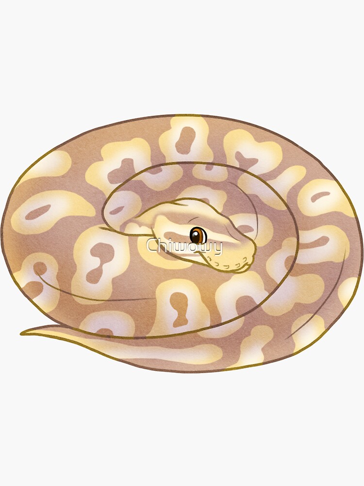 Thumbnail 3 of 3, Sticker, Adorable cute cartoon chibi ball python banana pastel morph designed and sold by Chiwowy.