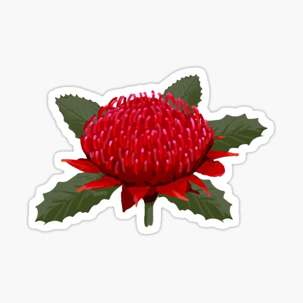 Item preview, Waratah designed and sold by TimmyGumnut.