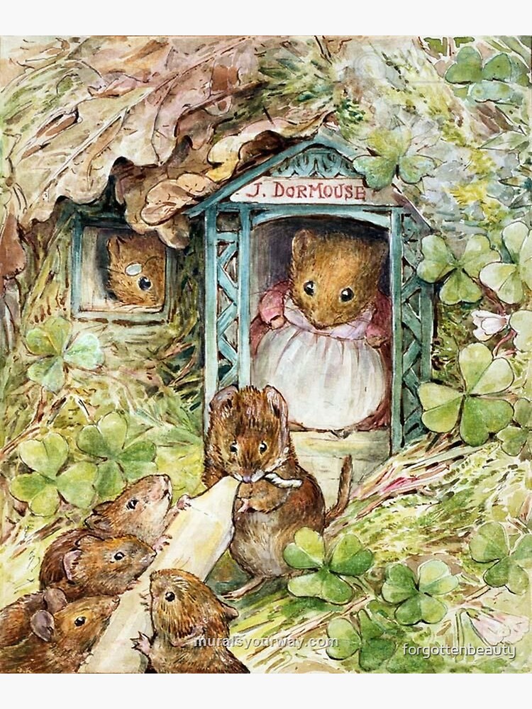 Beatrix Potter Inspired Art  Framed & Mounted Print – Pretty in