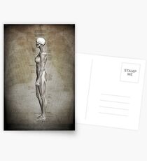 Experiment Postcards