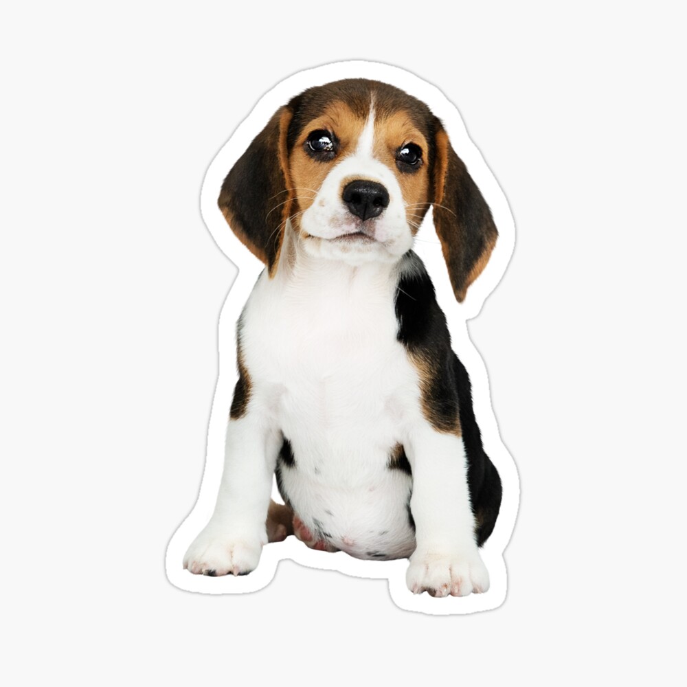 beagle gifts