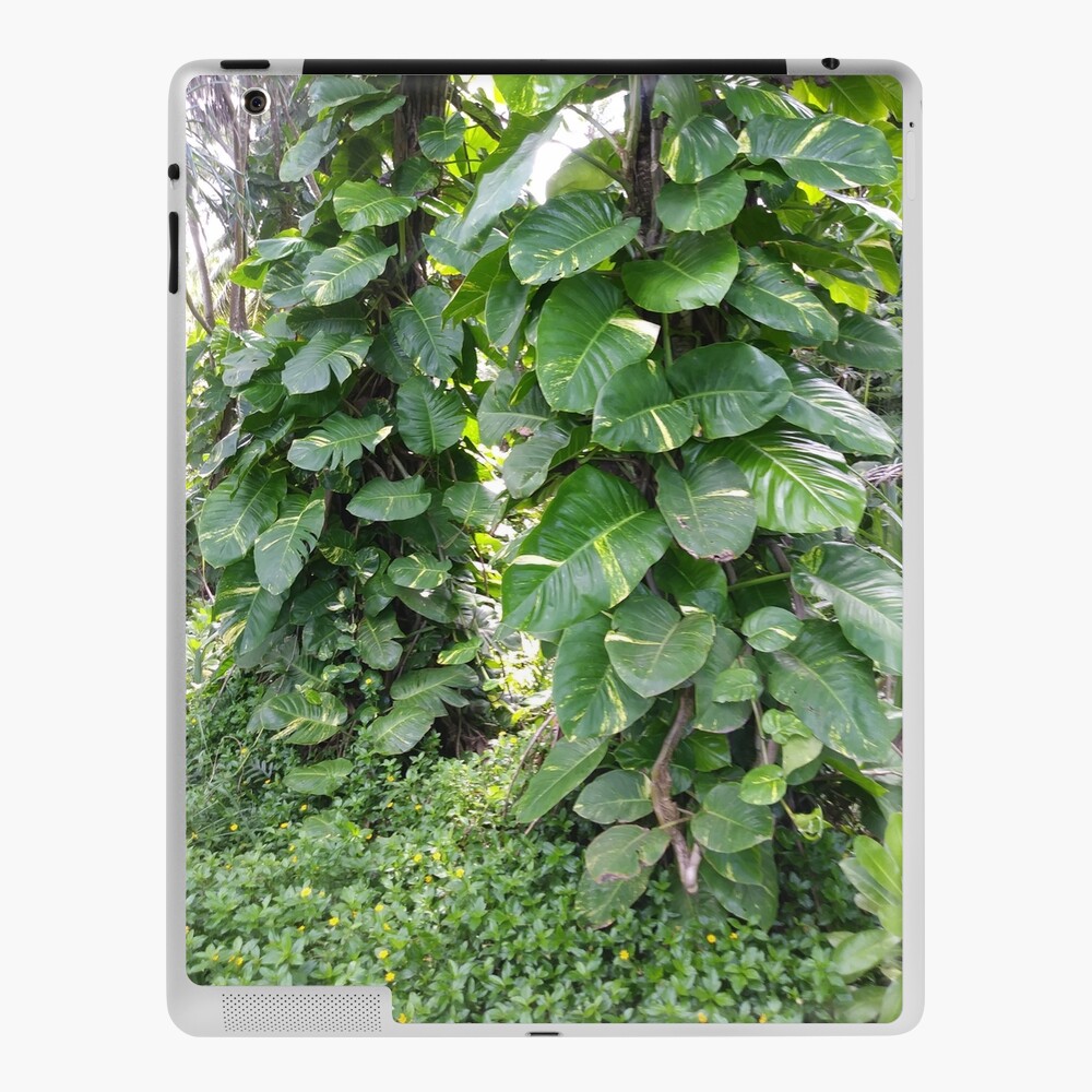 Tropical Jungle Vines iPad Case & Skin by SundayDriver | Redbubble Tropical Jungle Vines iPad Case & Skin by SundayDriver