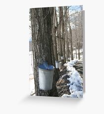 Sugaring Greeting Card