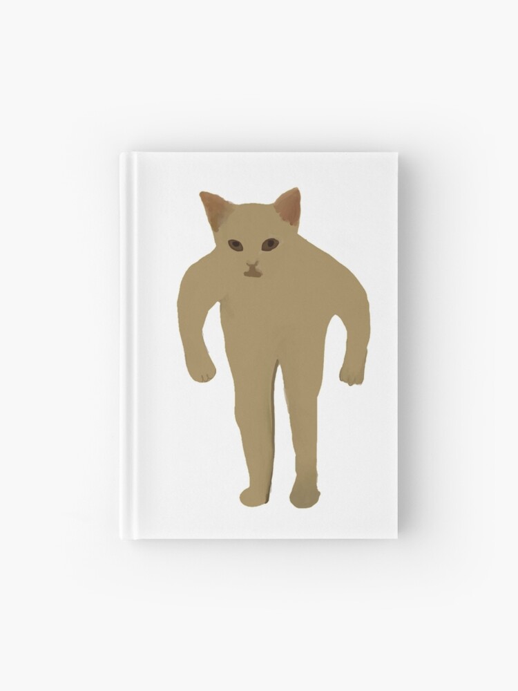 Cat With Arms Up Meme ubicaciondepersonas.cdmx.gob.mx