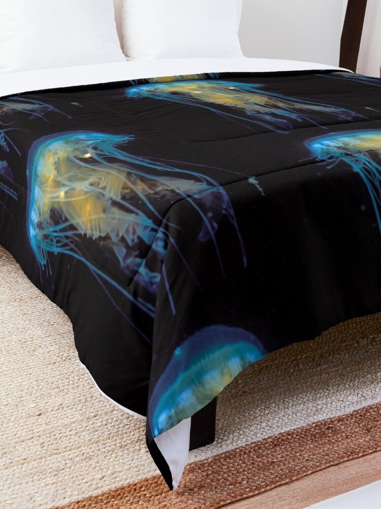Alternate view of Juvenile Jelly on Black Comforter