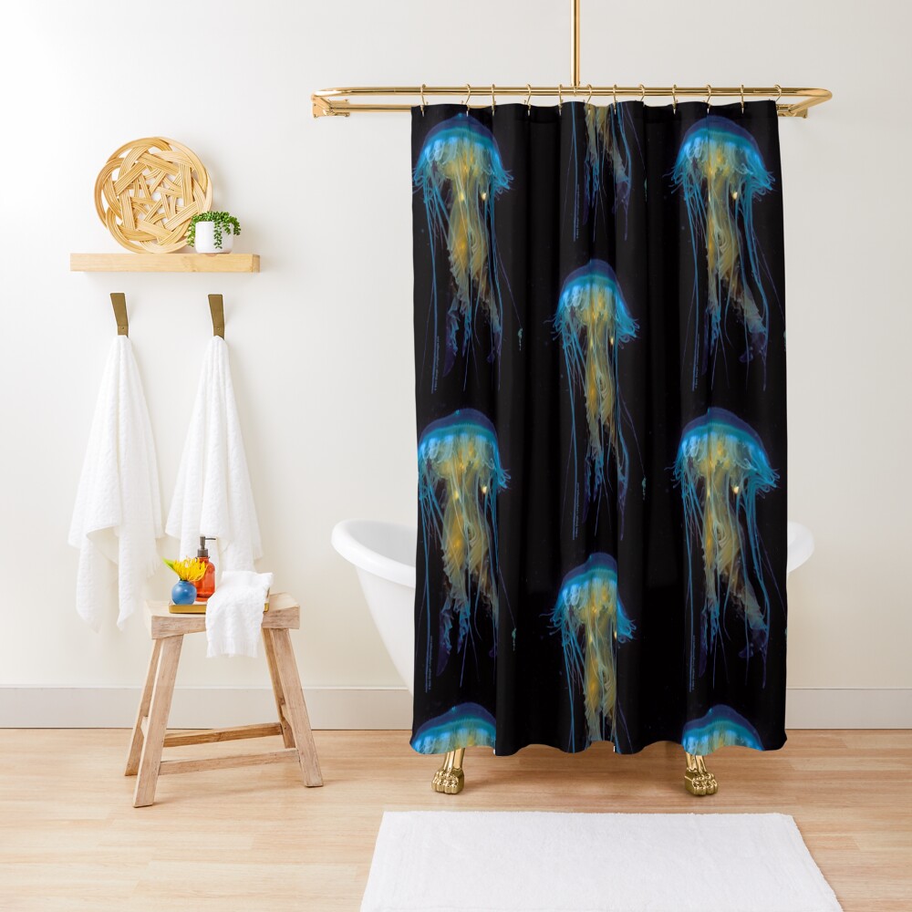 Juvenile Jelly on Black Shower Curtain