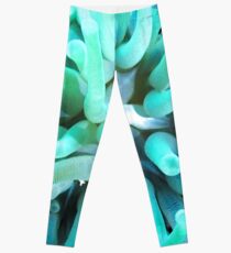 Green Sea Anemone and Squat Shrimp Leggings