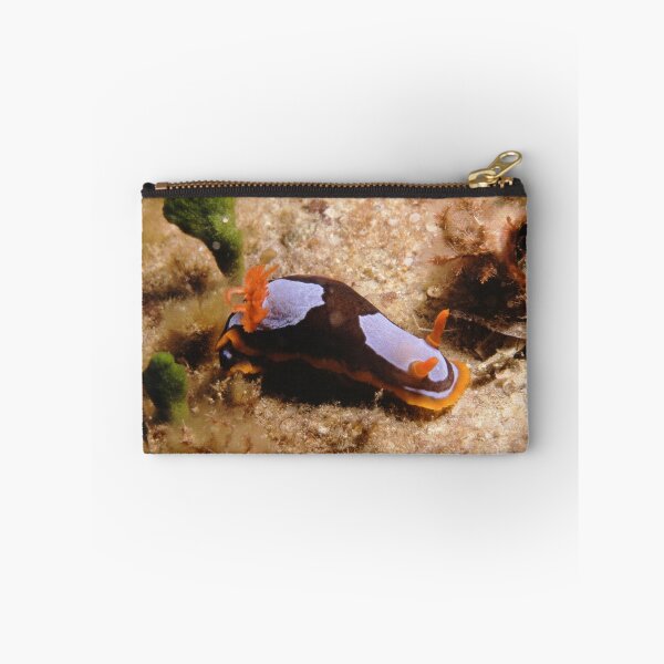 Item preview, Chromodoris westralensis, Western Australia designed and sold by Erik Schlogl.
