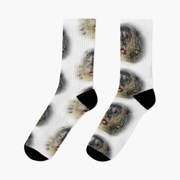 Item preview, Winking Harbor Seal designed and sold by LivingSeaimages.