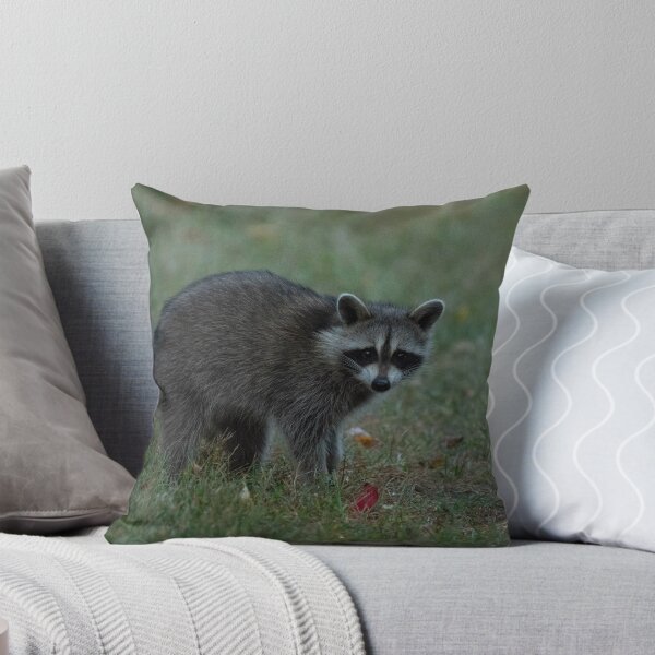 Item preview, Raccoon at dusk designed and sold by suburbanwilds.