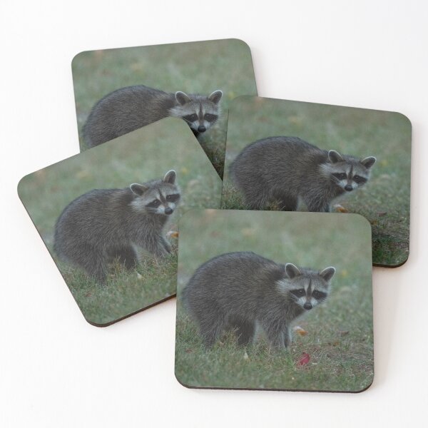 Item preview, Raccoon at dusk designed and sold by suburbanwilds.