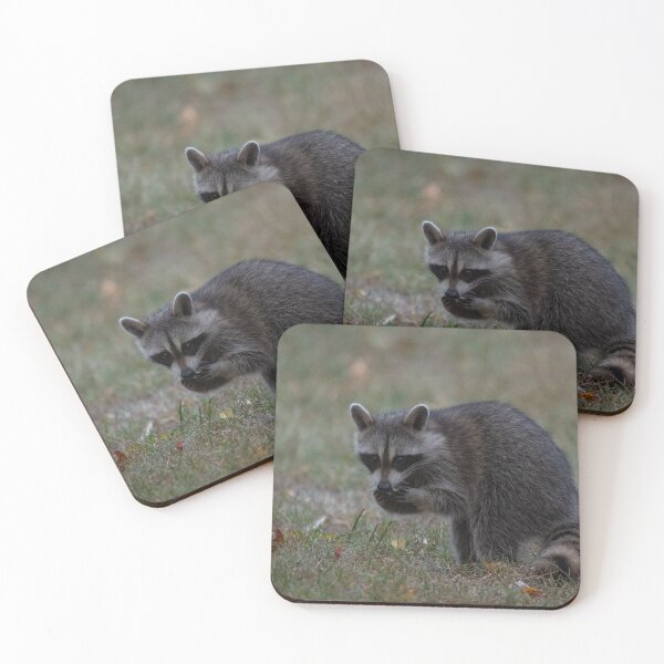 Item preview, Nibbles designed and sold by suburbanwilds.