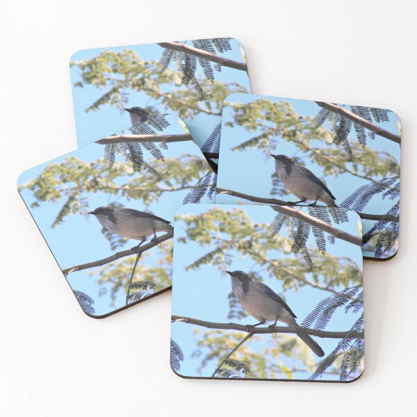 Artikelvorschau, The California Scrub Jay entworfen und verkauft von DonnaMoore.