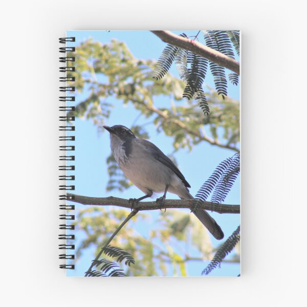 Item preview, The California Scrub Jay designed and sold by DonnaMoore.