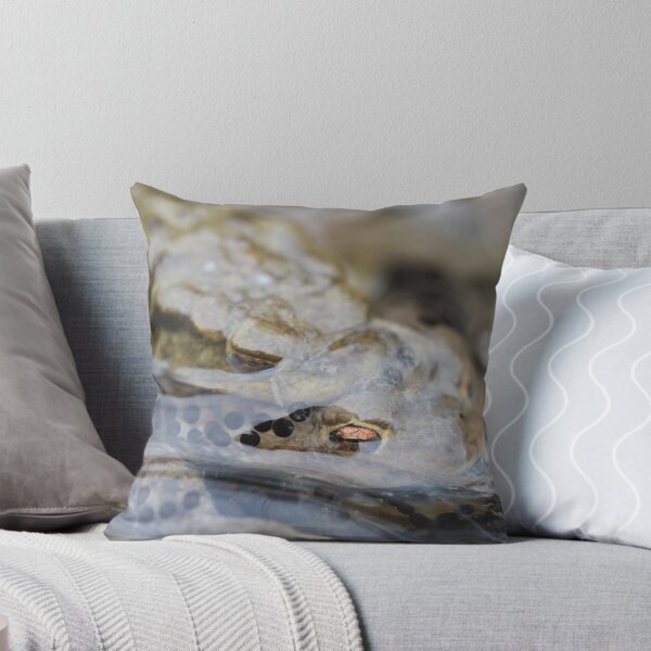 Item preview, Common Toads - Bufo bufo designed and sold by Christian Moss.