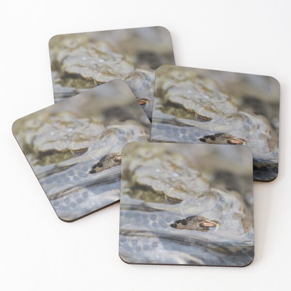 Item preview, Common Toads - Bufo bufo designed and sold by Christian Moss.
