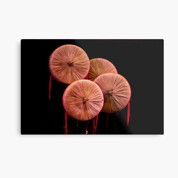 Artikel-Vorschau von Puppet Umbrellas, designt und verkauft von phil decocco.