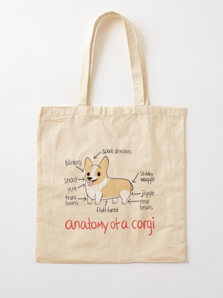 blumoon boston terriers