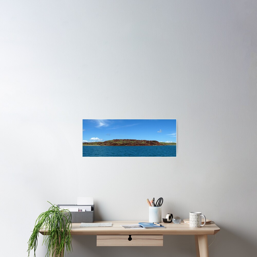Enderby Island Poster